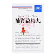 Ding Lu Brand Bushen Yijing Wan (Concentrated) - 100 Pills X 0.3 gm